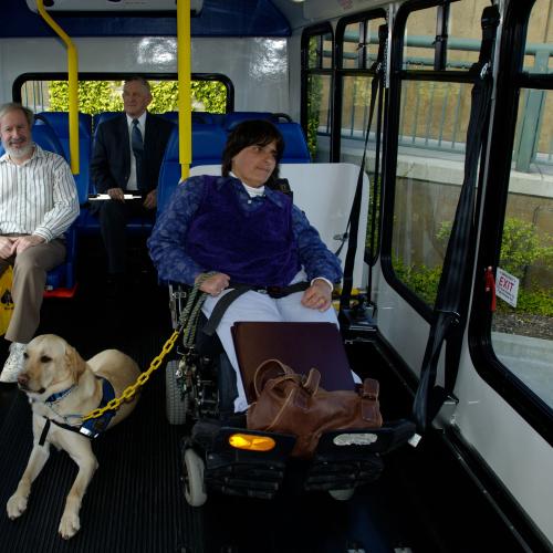 Paratransit Pilot Program